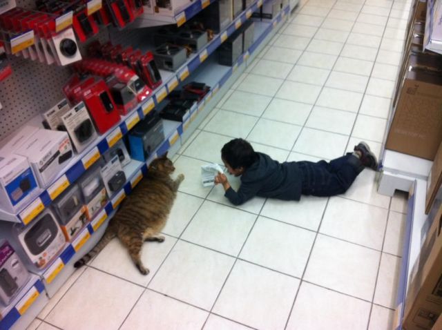 morning picdump 59 pics 32.html - 59 HD Photos | Premium Gallery 2014