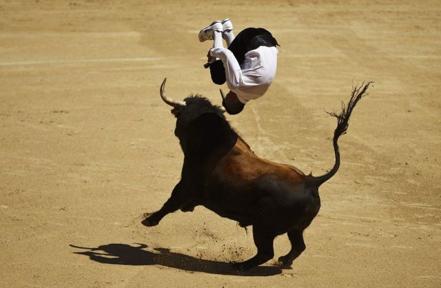 morning picdump 59 pics 32.html - 59 HD Photos | Premium Gallery 2014