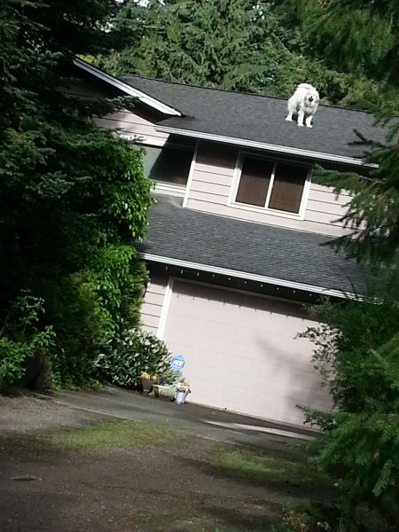 morning picdump 59 pics 32.html - 59 HD Photos | Premium Gallery 2014