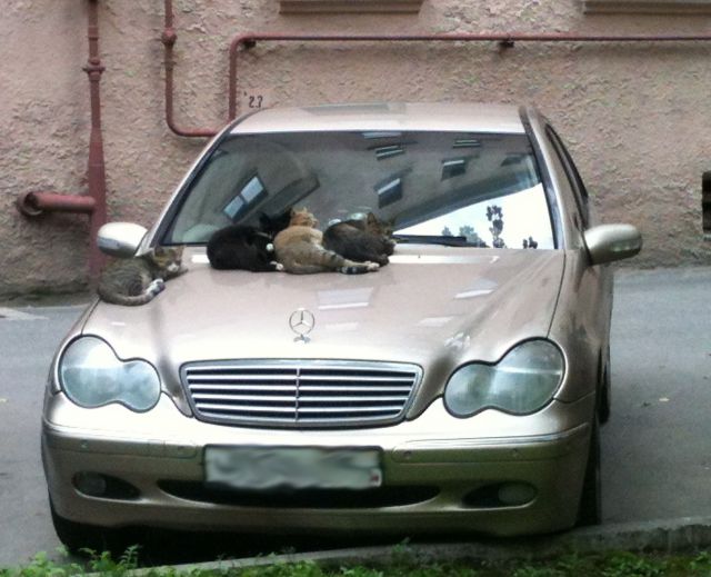 morning picdump 59 pics 32.html - 59 HD Photos | Premium Gallery 2014