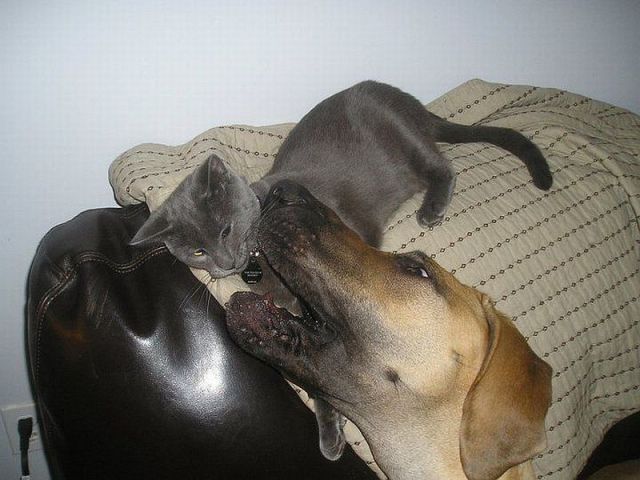 morning picdump 59 pics 32.html - 59 HD Photos | Premium Gallery 2014