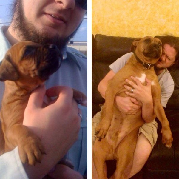 morning picdump 59 pics 32.html - 59 HD Photos | Premium Gallery 2014