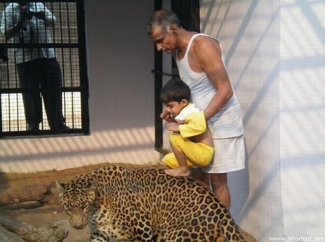 funny picdump 52 pics 1.html - 52 HD Photos | Premium Gallery 2014