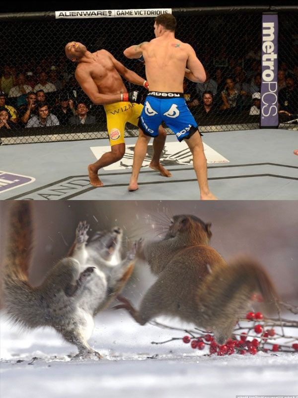 funny picdump 52 pics 1.html - 52 HD Photos | Premium Gallery 2014