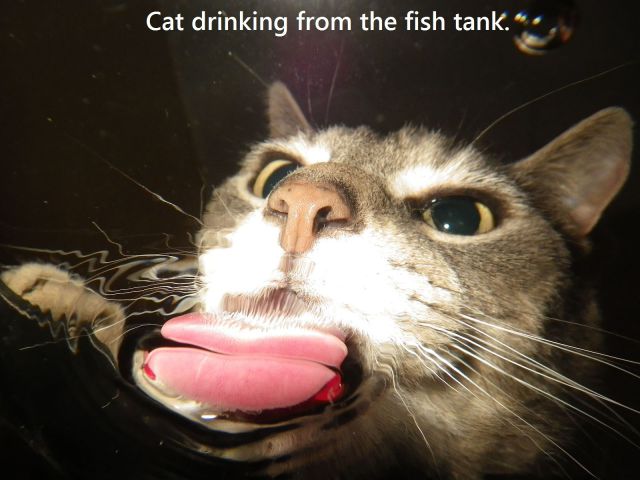 morning picdump 63 pics 56.html - 63 HD Photos | Premium Gallery 2014