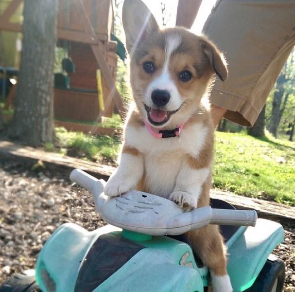 morning picdump 63 pics 56.html - 63 HD Photos | Premium Gallery 2014