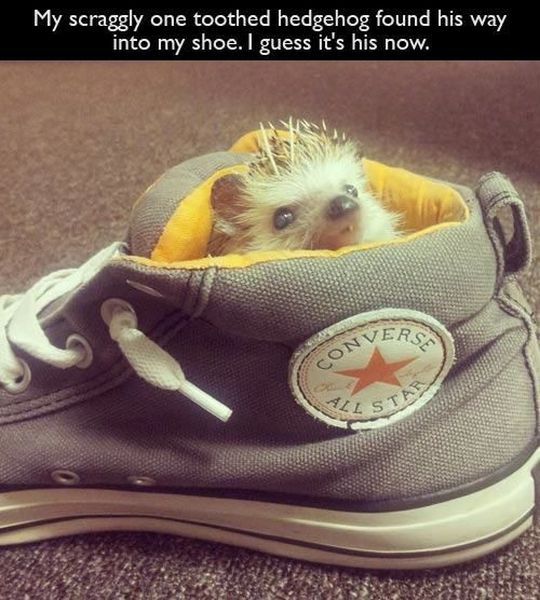 morning picdump 63 pics 56.html - 63 HD Photos | Premium Gallery 2014