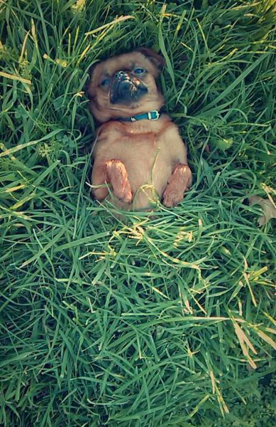 morning picdump 63 pics 56.html - 63 HD Photos | Premium Gallery 2014