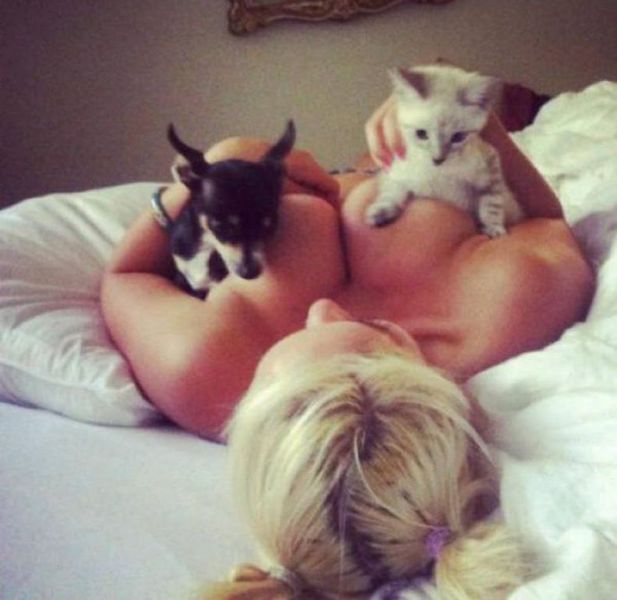 grownup corner 52 pics 6 gifs 8.html - 52 HD GIF | Premium Gallery 2014