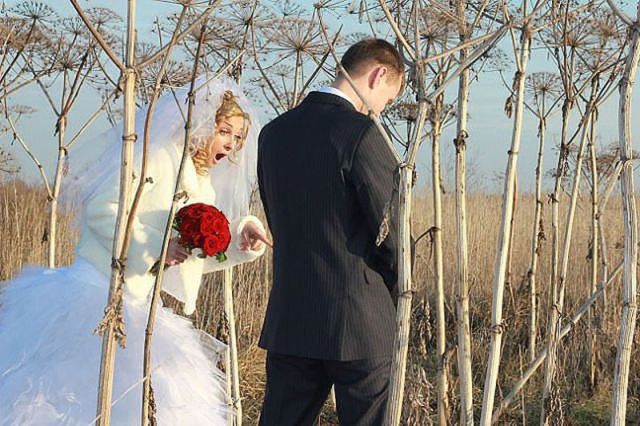 morning picdump 57 pics 17.html - 57 HD Photos | Premium Gallery 2014