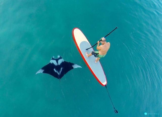 morning picdump 57 pics 17.html - 57 HD Photos | Premium Gallery 2014