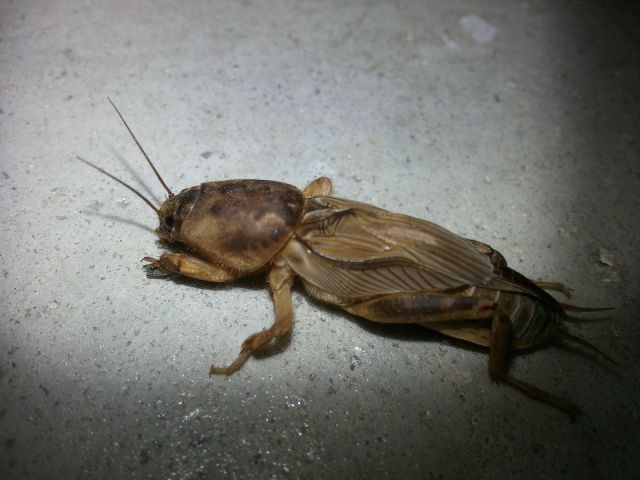 morning picdump 57 pics 17.html - 57 HD Photos | Premium Gallery 2014