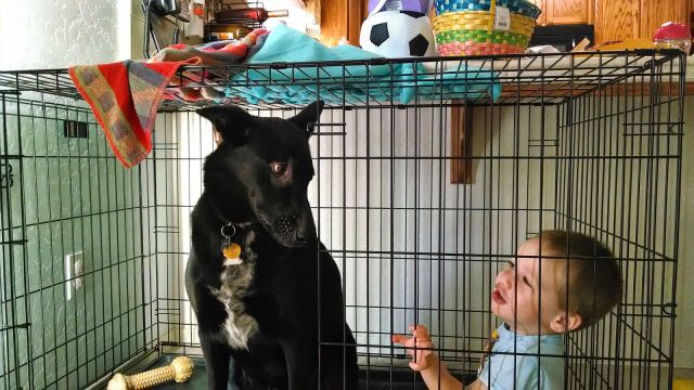 morning picdump 57 pics 17.html - 57 HD Photos | Premium Gallery 2014