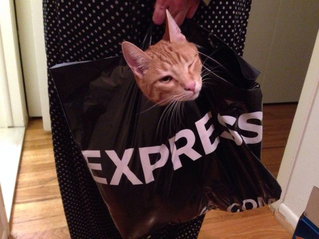 morning picdump 57 pics 17.html - 57 HD Photos | Premium Gallery 2014