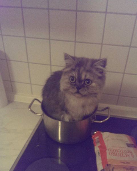 morning picdump 57 pics 17.html - 57 HD Photos | Premium Gallery 2014