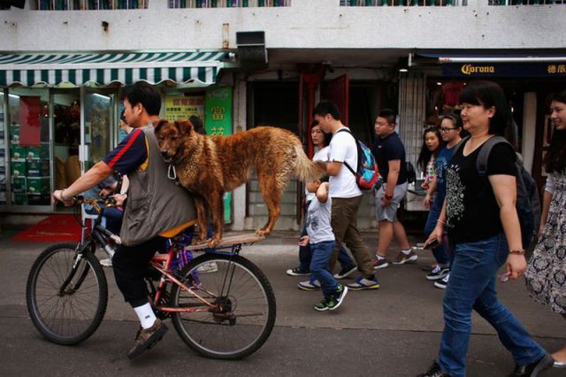 morning picdump 57 pics 17.html - 57 HD Photos | Premium Gallery 2014