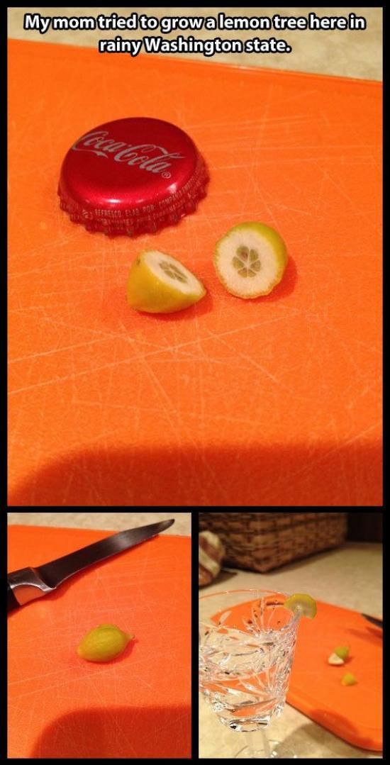 morning picdump 57 pics 17.html - 57 HD Photos | Premium Gallery 2014