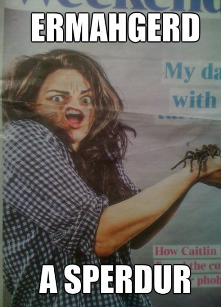 funny picdump 53 pics 25.html - 53 HD Photos | Premium Gallery 2014