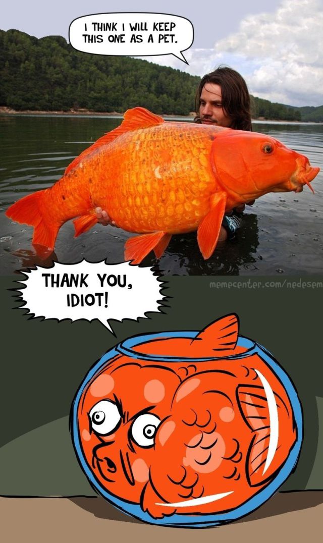 funny picdump 53 pics 25.html - 53 HD Photos | Premium Gallery 2014