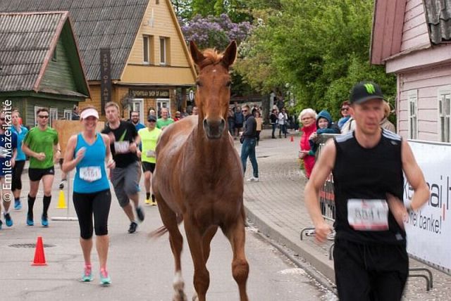 morning picdump 54 pics 41.html - 54 HD Photos | Premium Gallery 2014