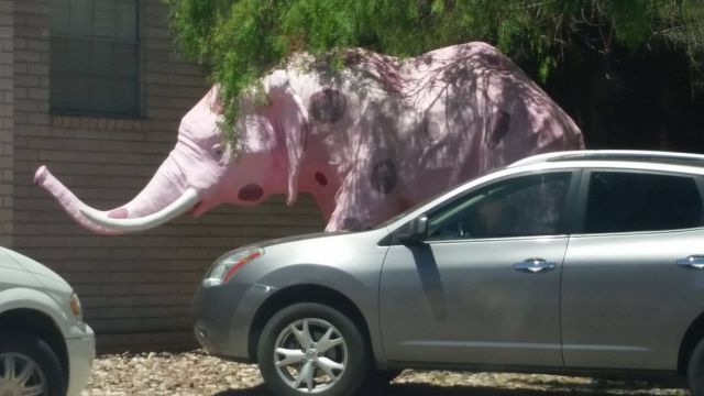 morning picdump 54 pics 41.html - 54 HD Photos | Premium Gallery 2014