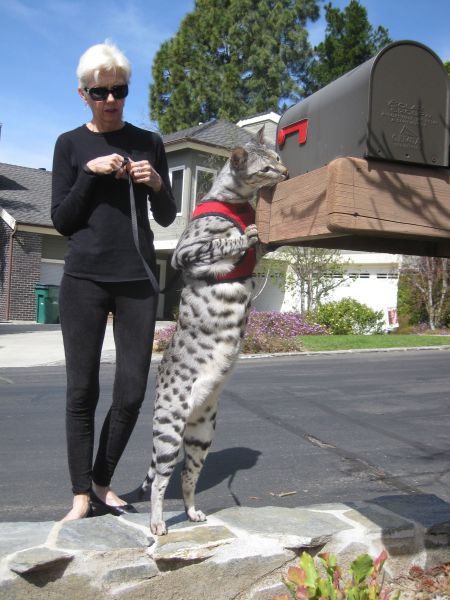 morning picdump 54 pics 41.html - 54 HD Photos | Premium Gallery 2014