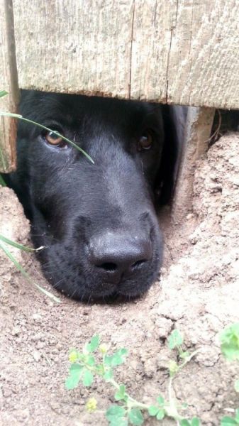 morning picdump 54 pics 41.html - 54 HD Photos | Premium Gallery 2014