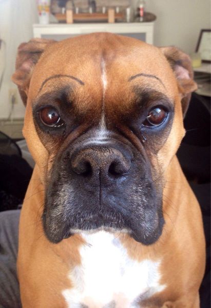 morning picdump 54 pics 41.html - 54 HD Photos | Premium Gallery 2014