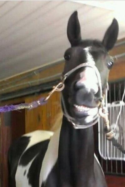 morning picdump 54 pics 41.html - 54 HD Photos | Premium Gallery 2014