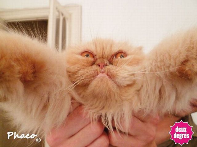 morning picdump 54 pics 41.html - 54 HD Photos | Premium Gallery 2014