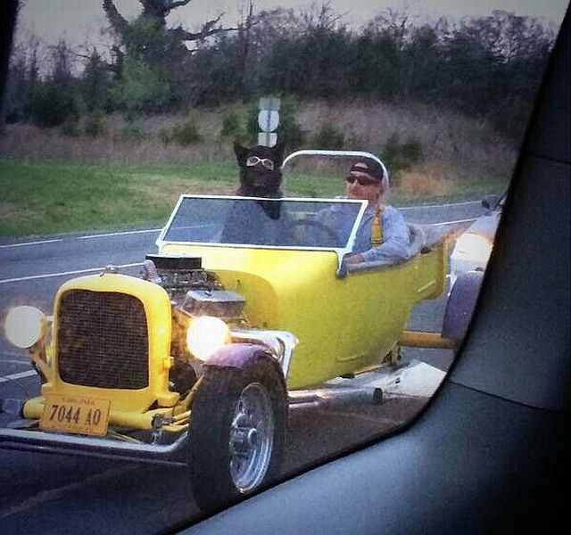 morning picdump 59 pics 16.html - 59 HD Photos | Premium Gallery 2014