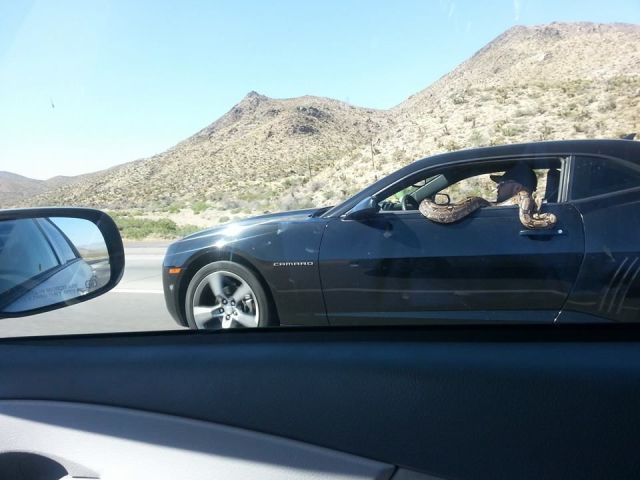 morning picdump 59 pics 16.html - 59 HD Photos | Premium Gallery 2014