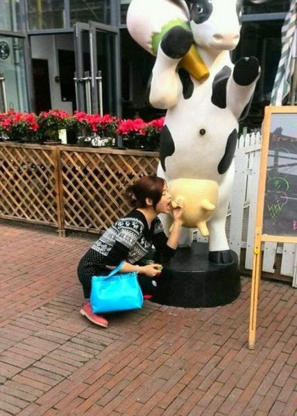 morning picdump 59 pics 16.html - 59 HD Photos | Premium Gallery 2014