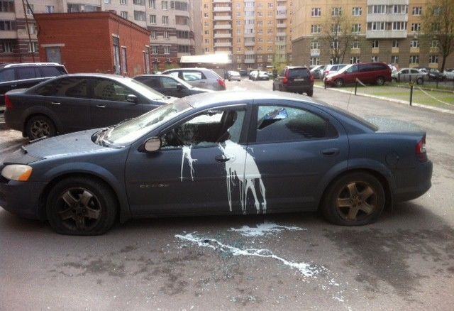 morning picdump 59 pics 16.html - 59 HD Photos | Premium Gallery 2014