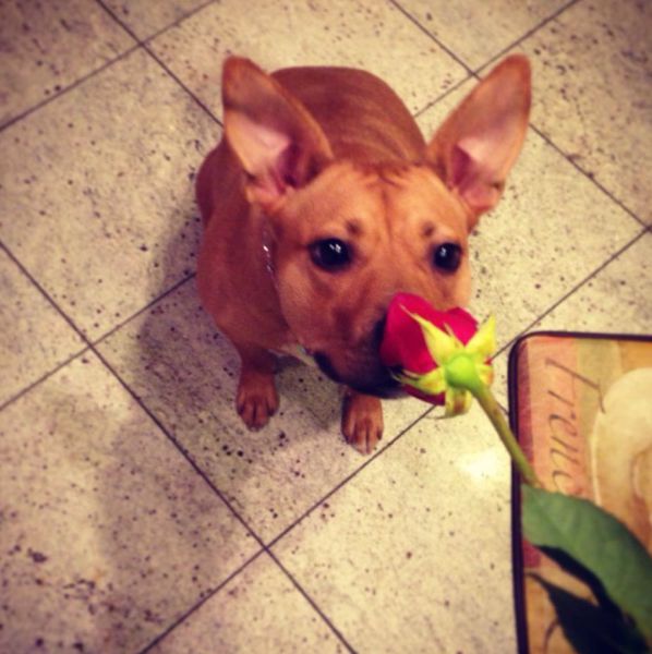 morning picdump 59 pics 16.html - 59 HD Photos | Premium Gallery 2014