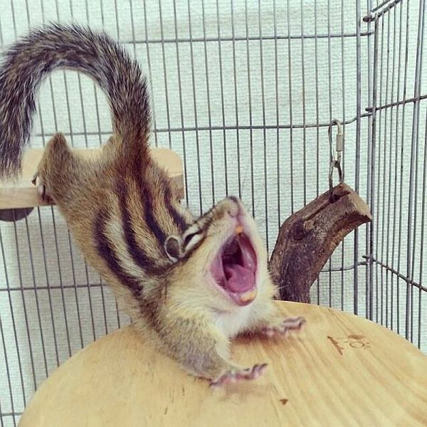 morning picdump 59 pics 16.html - 59 HD Photos | Premium Gallery 2014