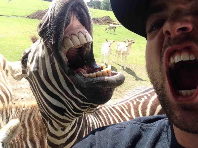 morning picdump 59 pics 16.html - 59 HD Photos | Premium Gallery 2014