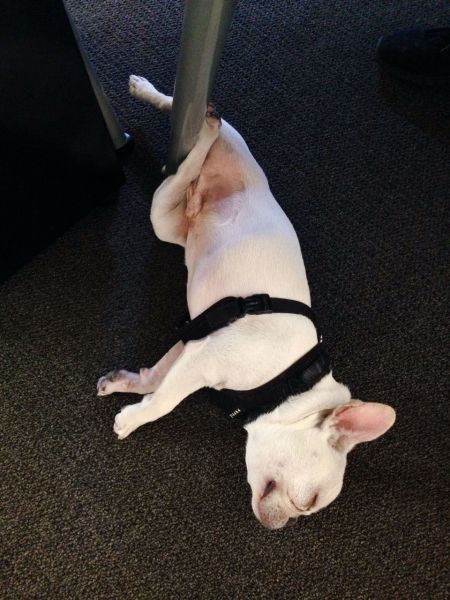 morning picdump 59 pics 16.html - 59 HD Photos | Premium Gallery 2014