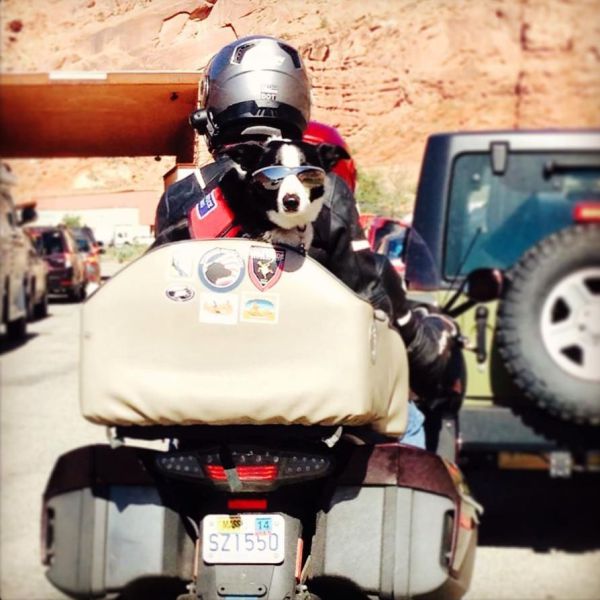 morning picdump 57 pics 16.html - 57 HD Photos | Premium Gallery 2014