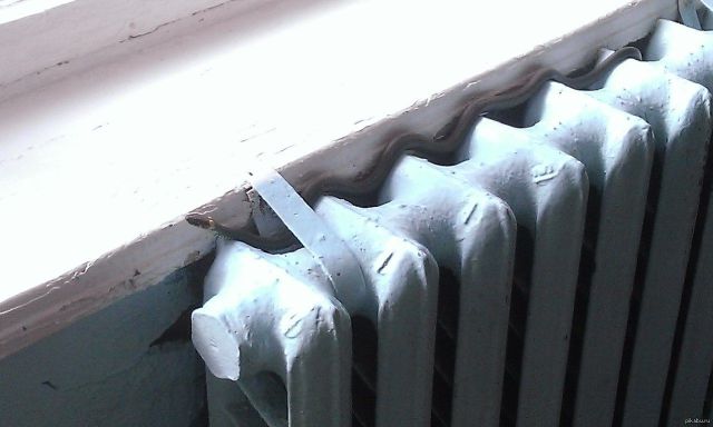 morning picdump 57 pics 16.html - 57 HD Photos | Premium Gallery 2014