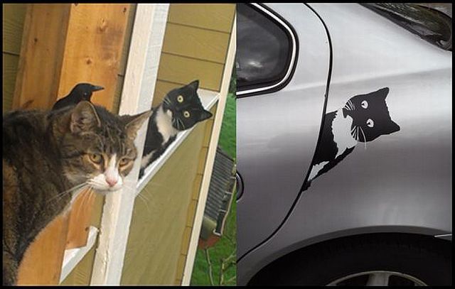 morning picdump 57 pics 16.html - 57 HD Photos | Premium Gallery 2014