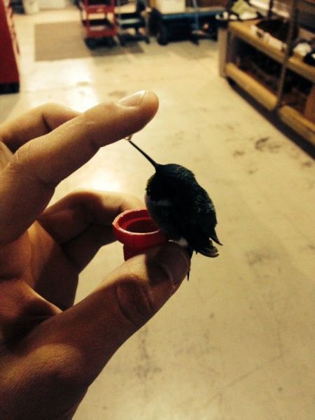 morning picdump 57 pics 16.html - 57 HD Photos | Premium Gallery 2014