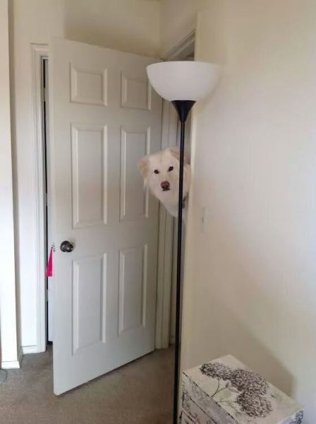 morning picdump 57 pics 16.html - 57 HD Photos | Premium Gallery 2014