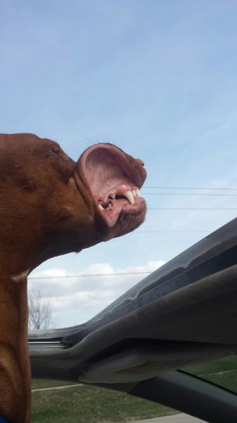 morning picdump 57 pics 16.html - 57 HD Photos | Premium Gallery 2014