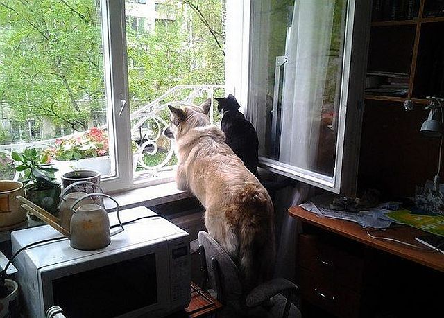 morning picdump 57 pics 16.html - 57 HD Photos | Premium Gallery 2014