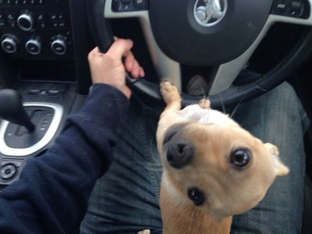 morning picdump 57 pics 16.html - 57 HD Photos | Premium Gallery 2014