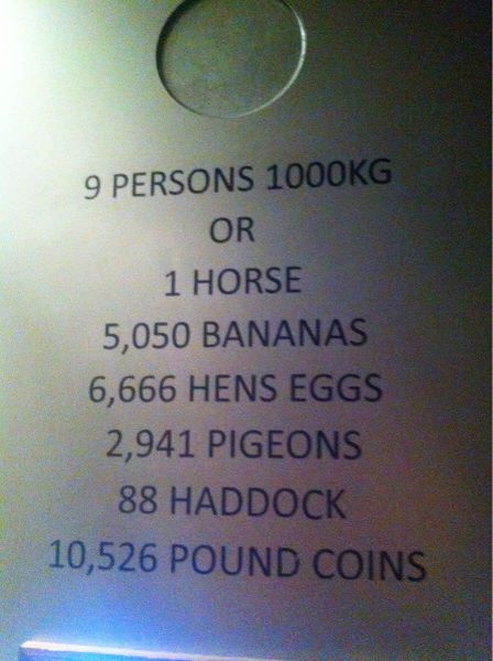 morning picdump 57 pics 16.html - 57 HD Photos | Premium Gallery 2014