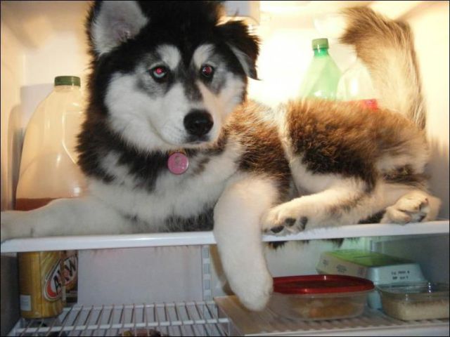 morning picdump 59 pics 1.html - 59 HD Photos | Premium Gallery 2014