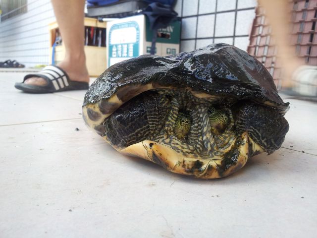 morning picdump 59 pics 1.html - 59 HD Photos | Premium Gallery 2014