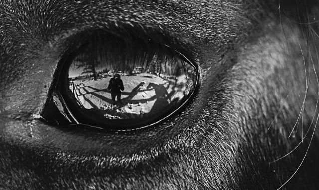 morning picdump 59 pics 1.html - 59 HD Photos | Premium Gallery 2014